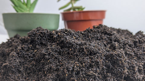 worm castings, add worm castings to potted plants, how to use worm castings