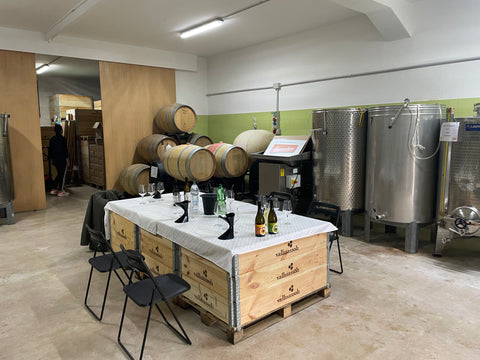 Visitors tasting Campania wines in a rustic winery with wooden barrels in the background