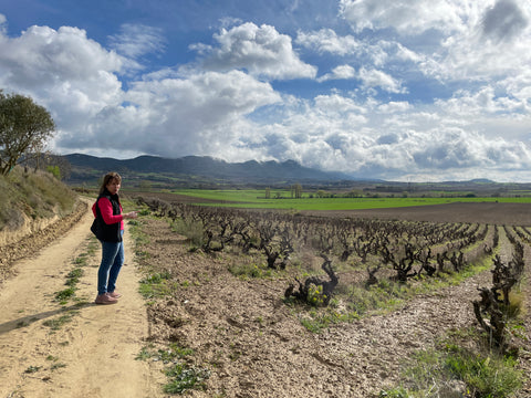Winemaker in Rioja vineyard
