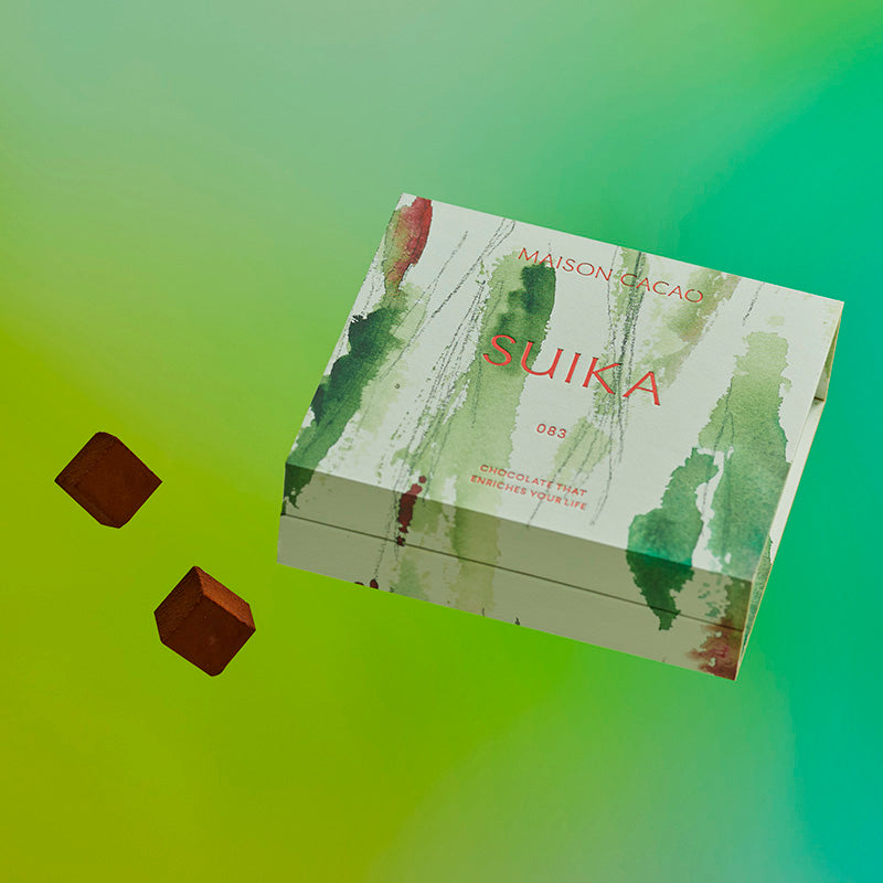 生チョコレート” YELLOW-GREEN ”4個箱セット