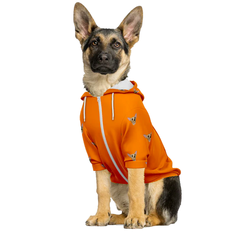 Tangelo orange dog hoodie on a German Shepherd puppy.