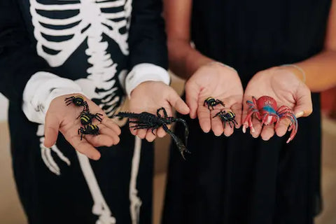 Showing Magnet Plastic Spiders