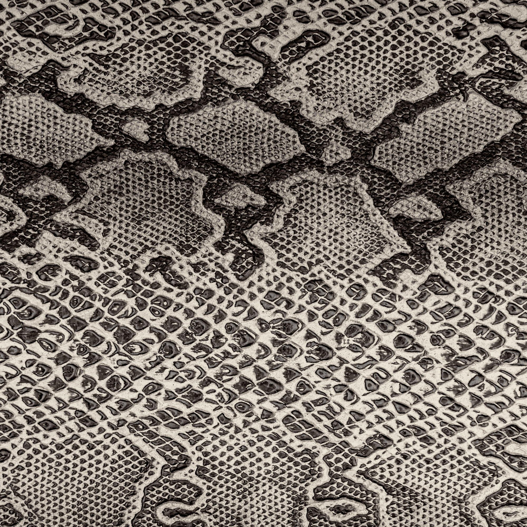 Anaconda Gris.png__PID:7659e0e3-4d46-47a1-9aa4-4e20fb782db4