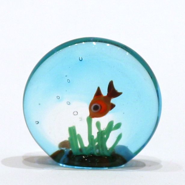 goldfish aquarium ideas