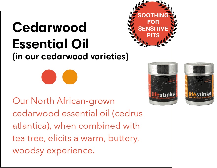 cedarwood scent