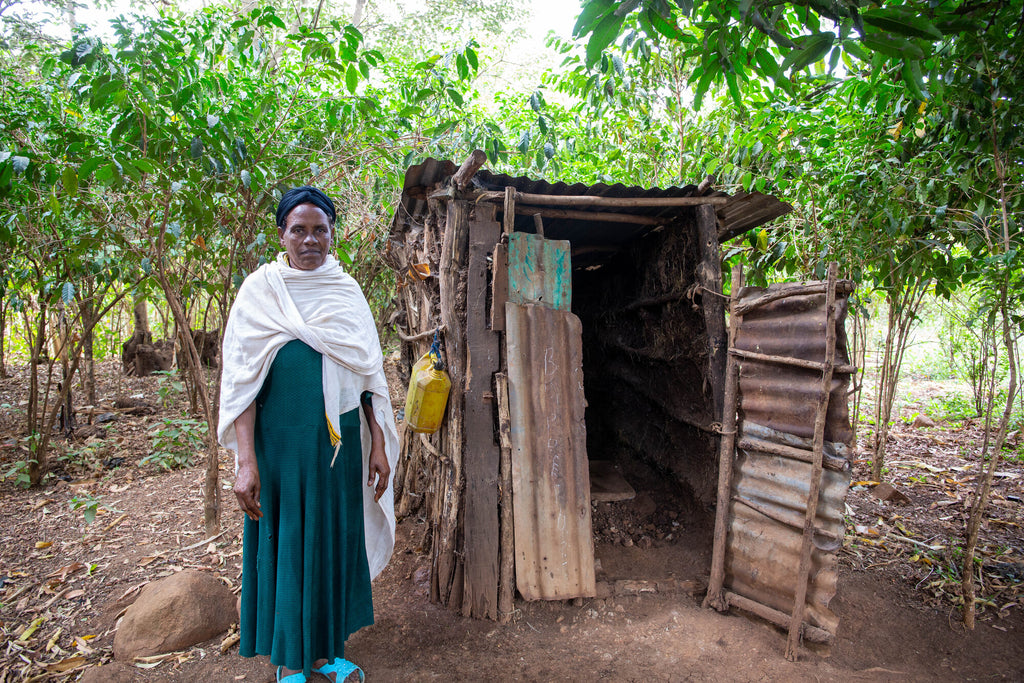 Clean water for toilet