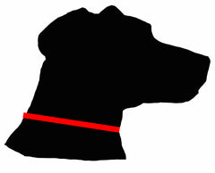If the collar is adjustable, measure here on the dog.