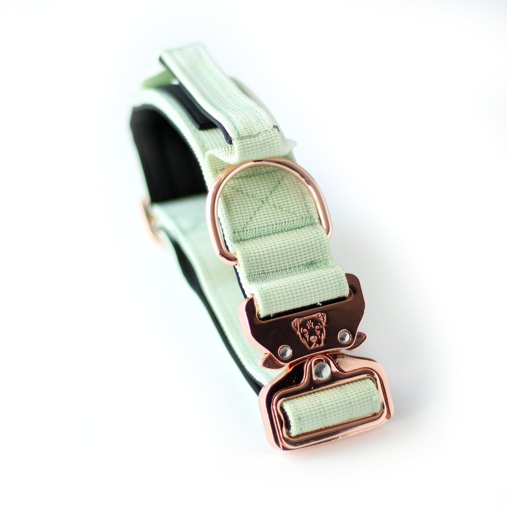 ACE Designer Dog Collar and Lead set in Rose Gold by ™ in