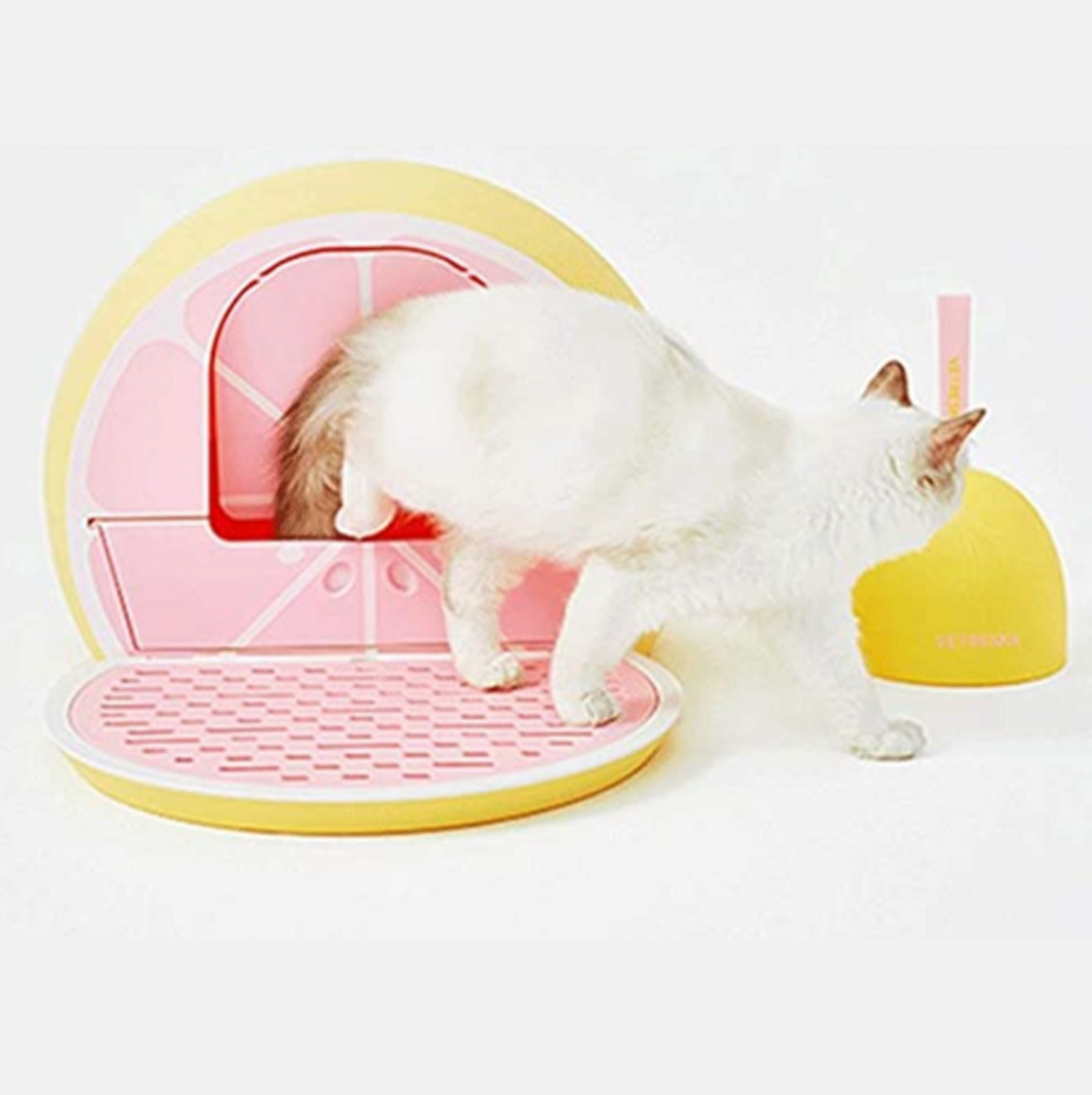 Litiere Pour Chat Lemon Cat