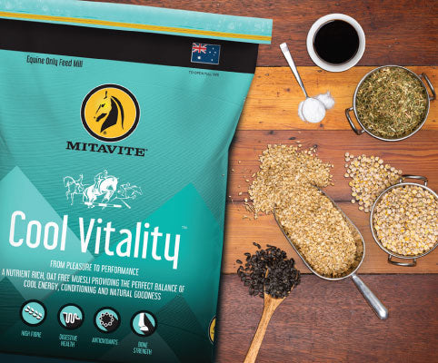 Cool Vitality lifestyle horse feed