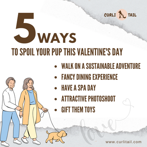 5 Ways to Spoil Your Pup This Valentine’s Day