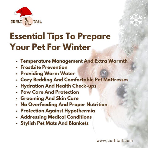 Essential tips to prepare your Pet in winter