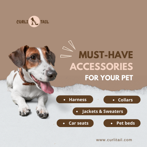 A harness is safe because it covers a large portion of the pet's body. | CurliTail