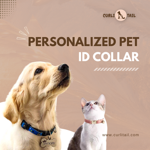 Personalized pet ID collar