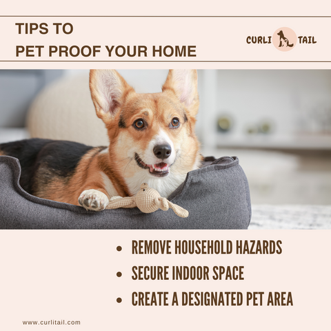 Tips to pet proof your home