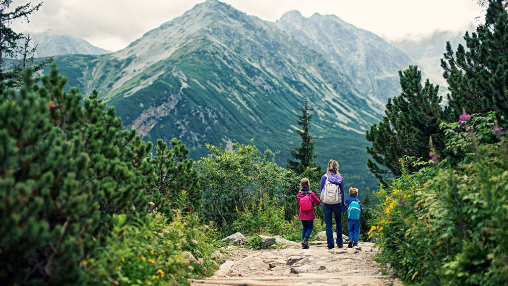 Go for a hike