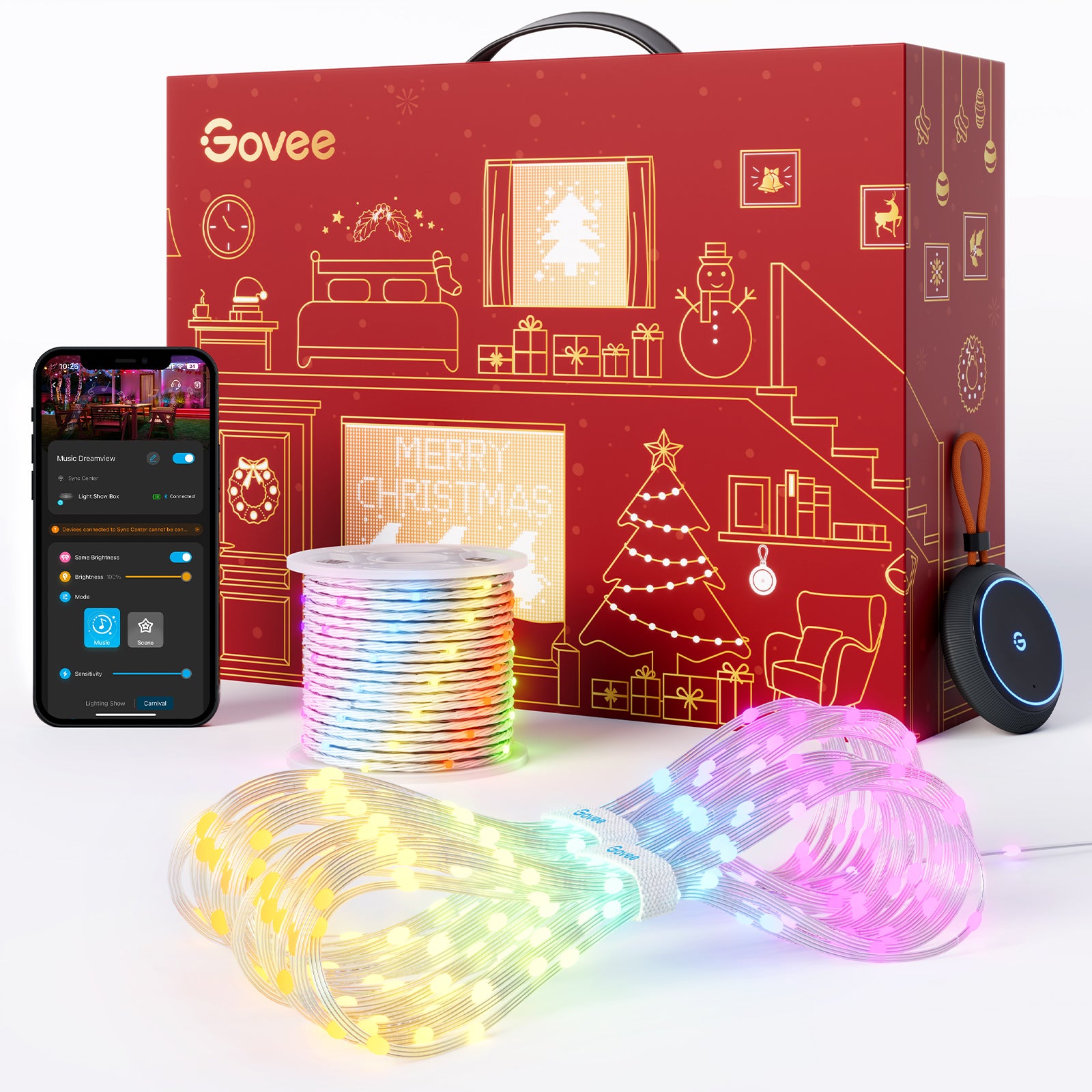 Govee Christmas Lights Set