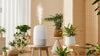 Picture of GoveeLife Smart Humidifier Lite