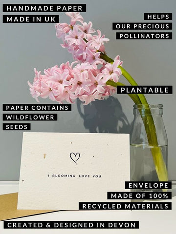 Plantable Valentine's Day card by Latitude 50 Landscapes