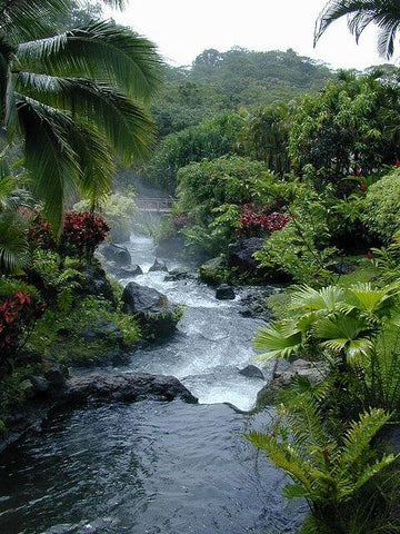 Tabacon Hot springs resort costa rica