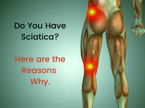 Do You Have Sciatica? Here are the Reasons Why.