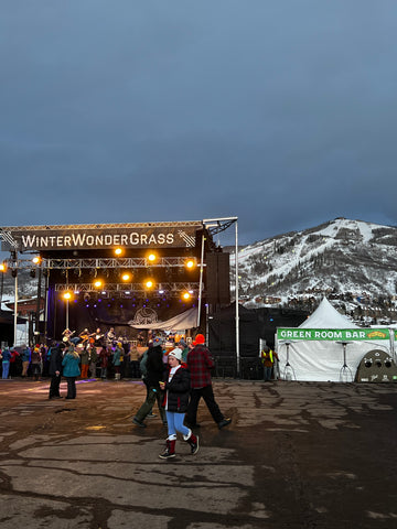 Stage and ski area