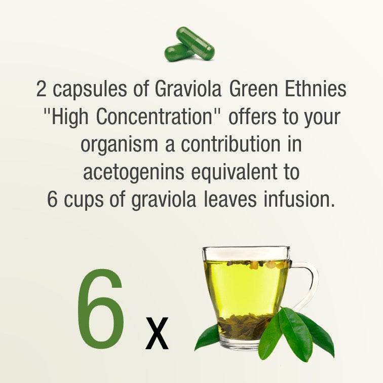 Graviola extract concentrate natural quality