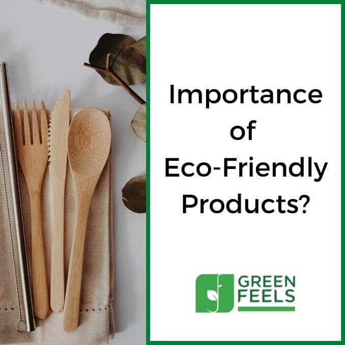 literature review of eco friendly products