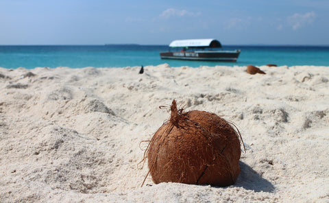 coconut alternative to plastic