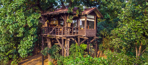 pench eco friendly lodge