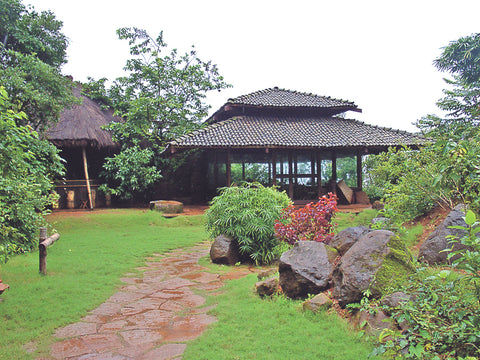 wildernest goa