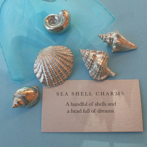 Seashell Charms from Home Decor Online Store Collecting Seashells