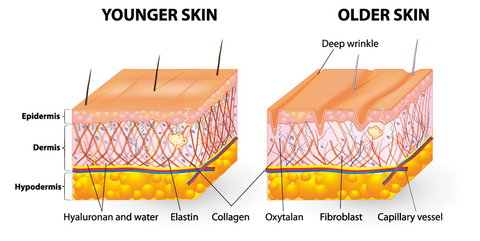 Here is an illustration for you to better understand