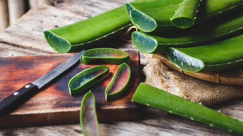 Aloe vera is also a home remedy for dandruff that you should not ignore.