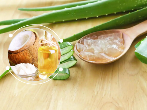 The hydrating prowess of aloe vera helps lock in moisture, preventing dryness and promoting a healthy scalp environment.