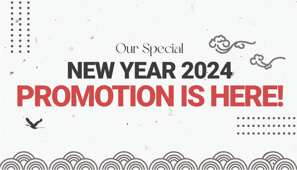 Fresh Start, Great Deals: Our Special New Year 2024 Promotion Is Here!