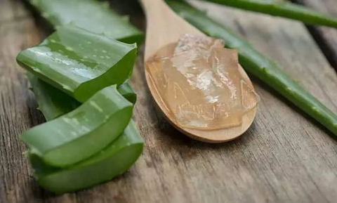 Aloe Vera gel lip soother