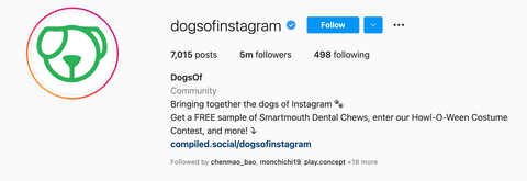 Dogs of Instagram - Instagram Profile - New Age Walls 