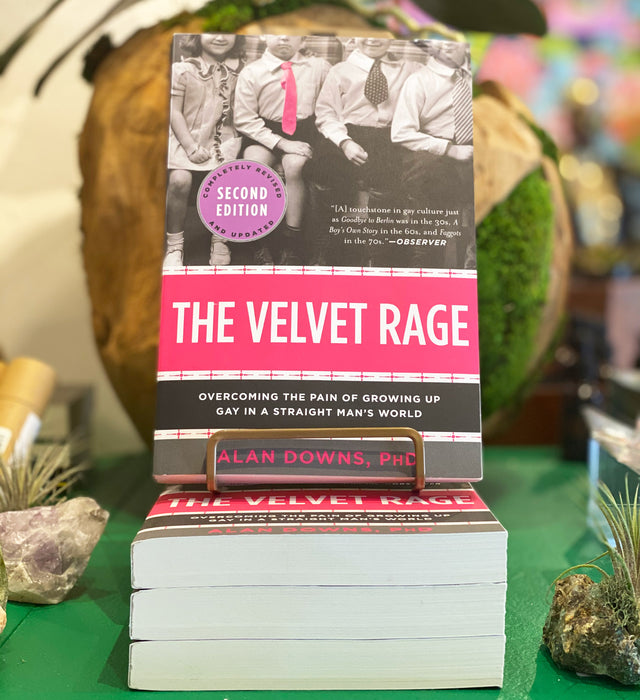 the velvet rage by alan downs