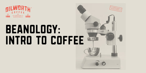 Beanology - Intro to Coffee