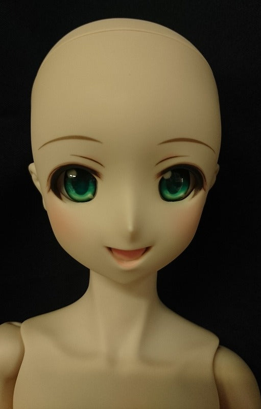 エンターテインメントホビーショップ ジャングル /ボークス DD(Dollfie