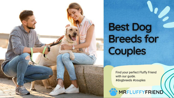 dog breeds for couples