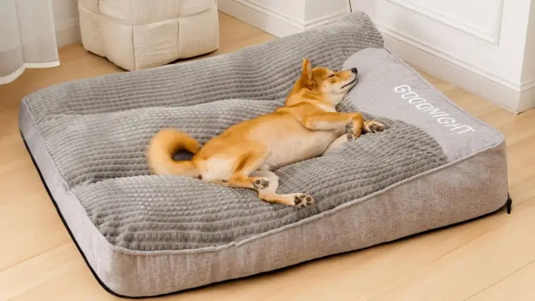 A small dog comfortably lounging on a calming dog cushion in a modern living room setting