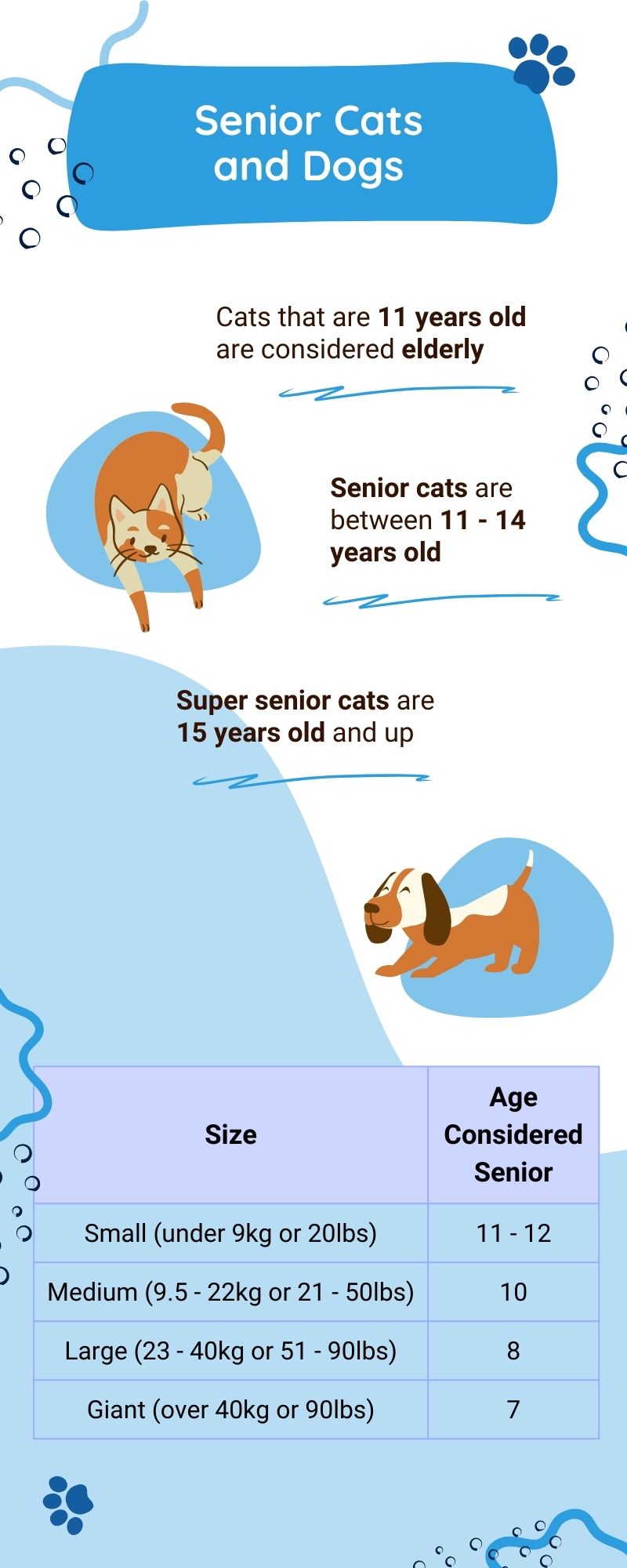 improve senior pets life