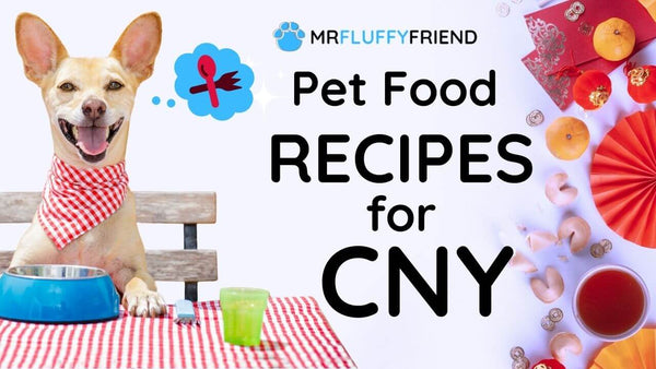 CNY pet food