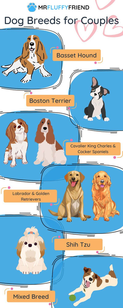 dog breeds for couples