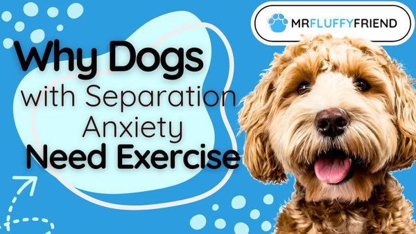 separation anxiety exercise