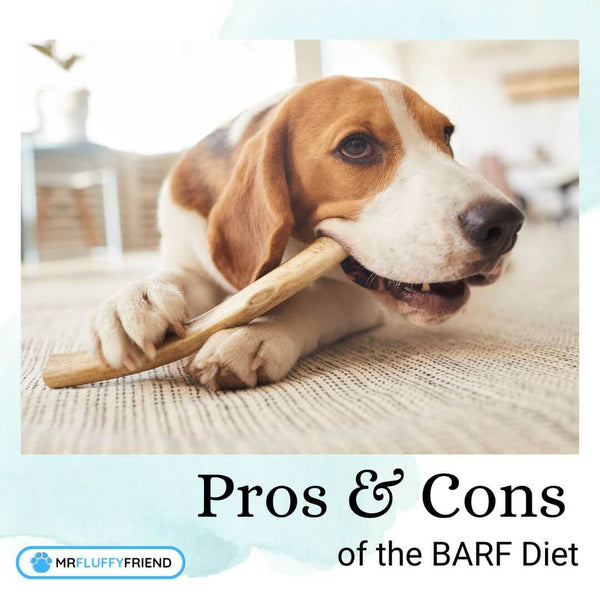 barf-pros-cons