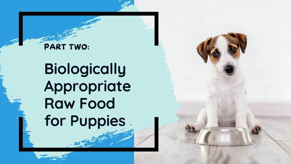 raw-food-for-puppies