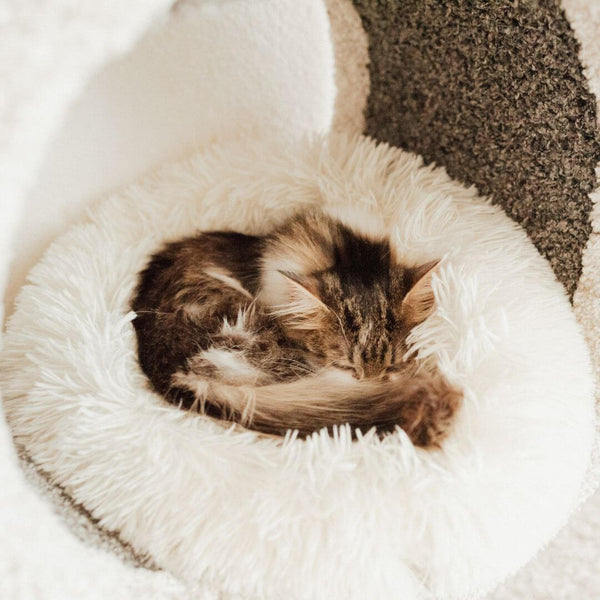 Anxiety-Relieving-Pet-Beds